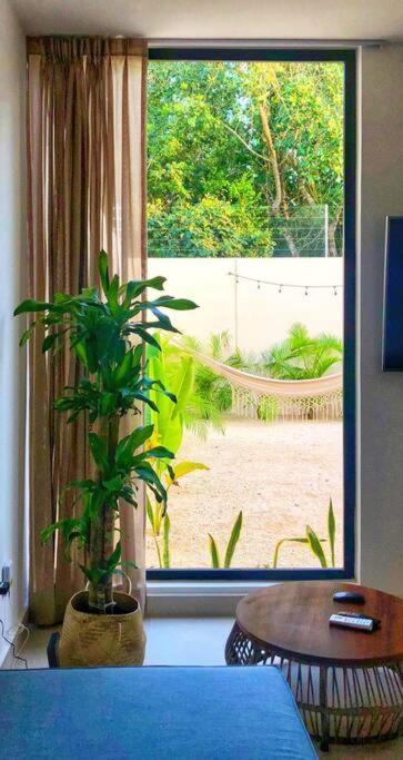 Casa Camilla, Bright, Spacious And Comfortable Vila Playa del Carmen Exterior foto